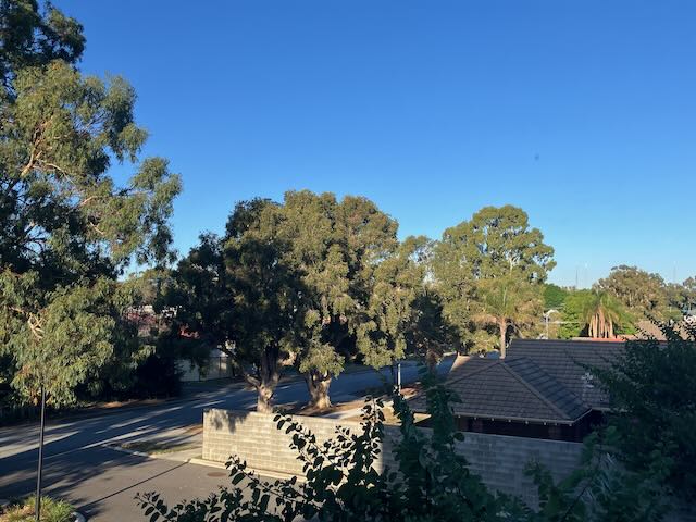 Schon heil im grünen Perth angekommen